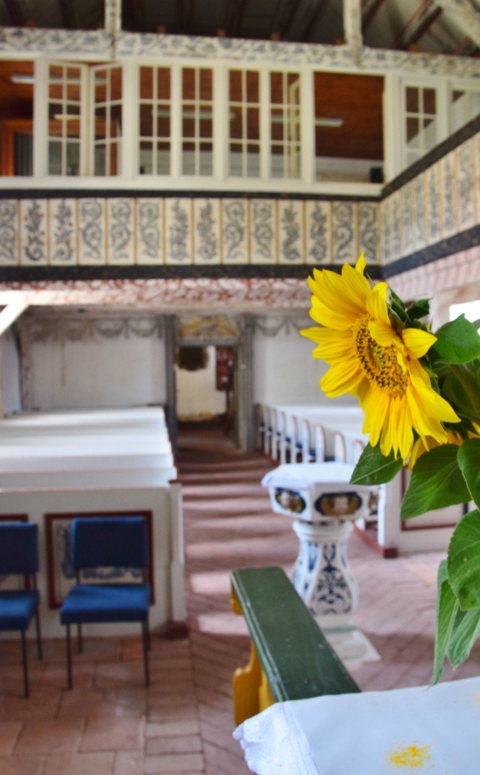 Sonnenblume in der Kirche Prensdorf (Foto: Düring/KKZF)