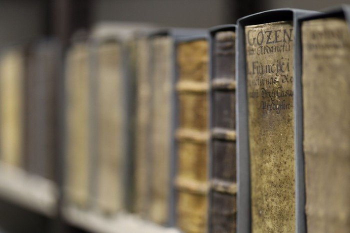 Buchrücken alter Bücher (Foto: fundus-medien.de)