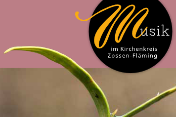 Ausschnitt Titelfoto Kirchenmusikflyer (Grafik: Susanne Scheding)