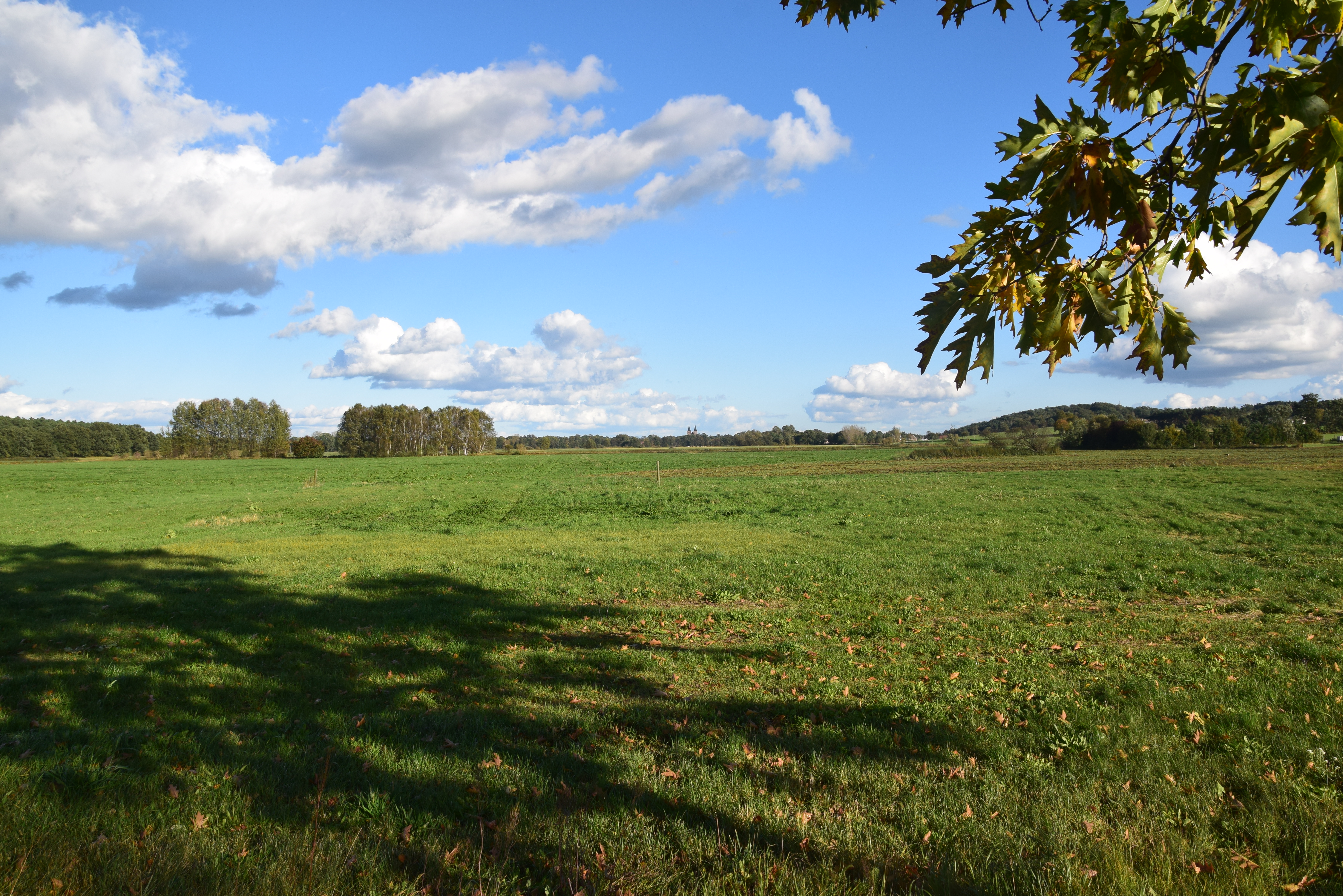 Wiesen-Flächen bei Bardenitz