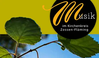 Keimling einer Pflanze (Foto: unsplash.com)